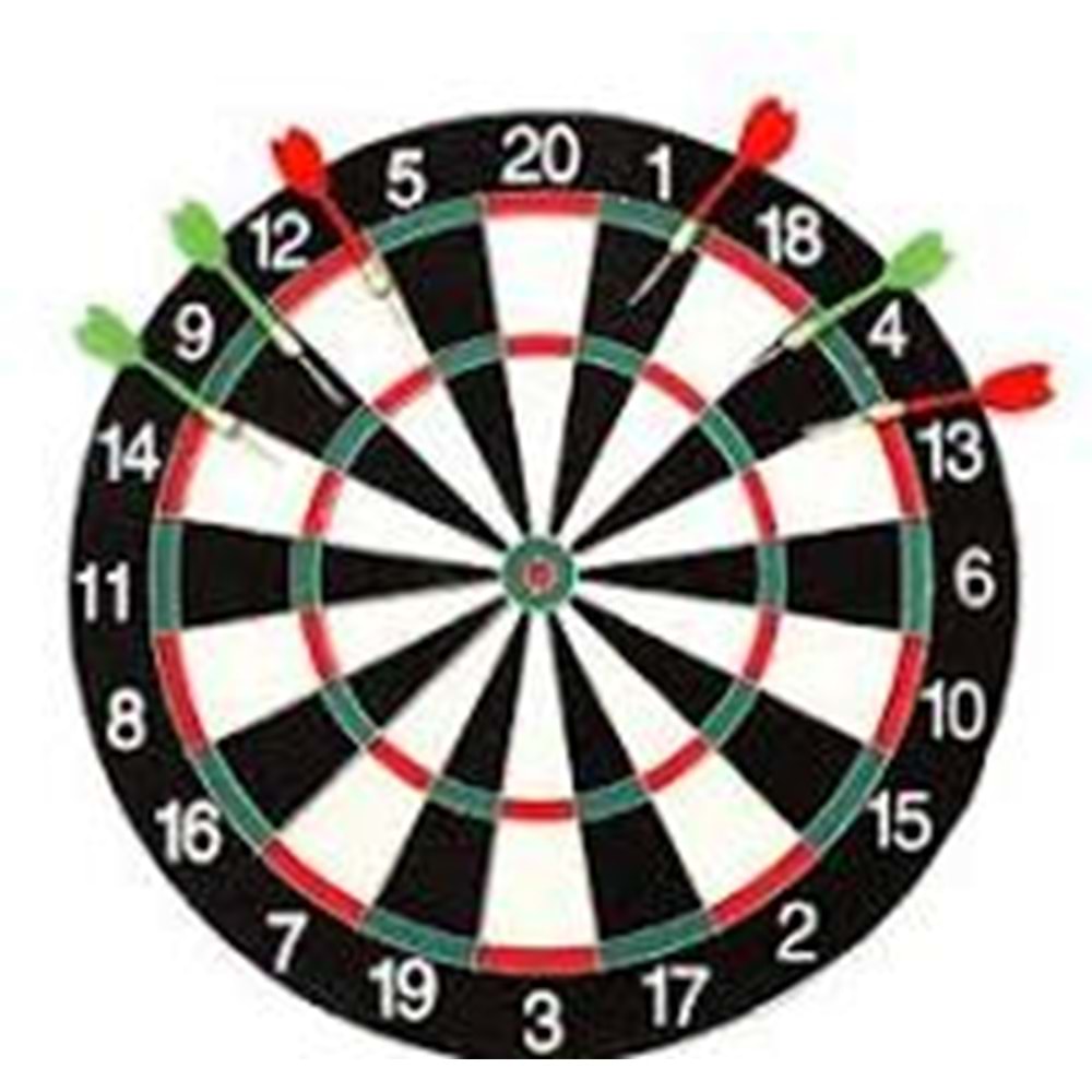 CAN SPORT BÜYÜK BOY 17 CM İĞNELİ DART