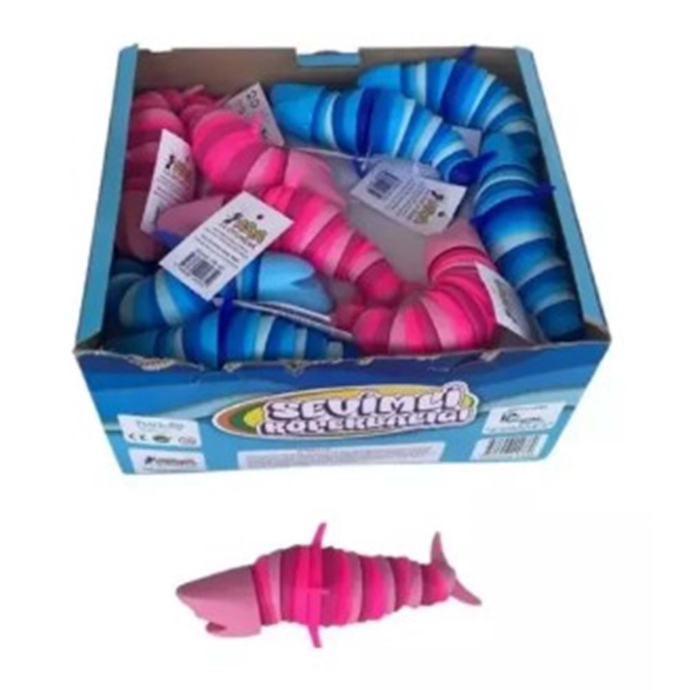 ASYA BÜYÜK KÖPEK BALIĞI