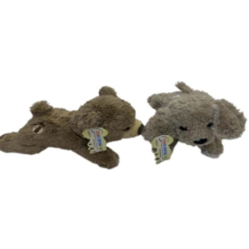 TAHA YATAN KÖPEK AYI