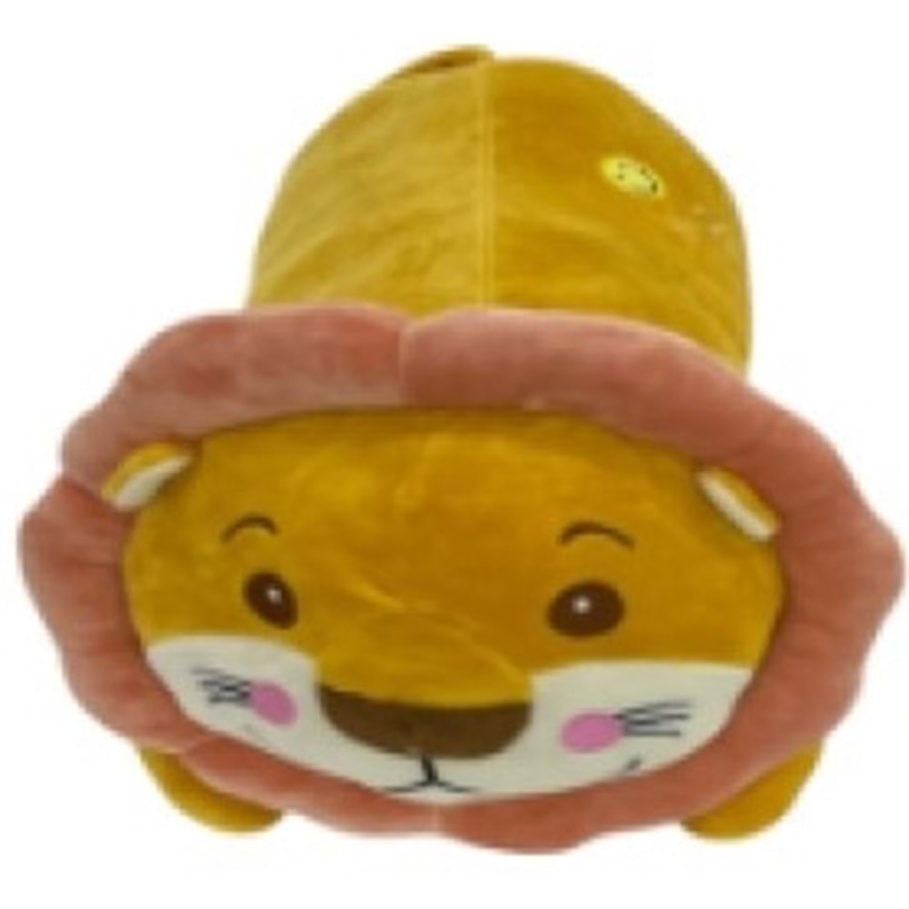 TAHA YATAN BAŞI PAPATYALI AYI