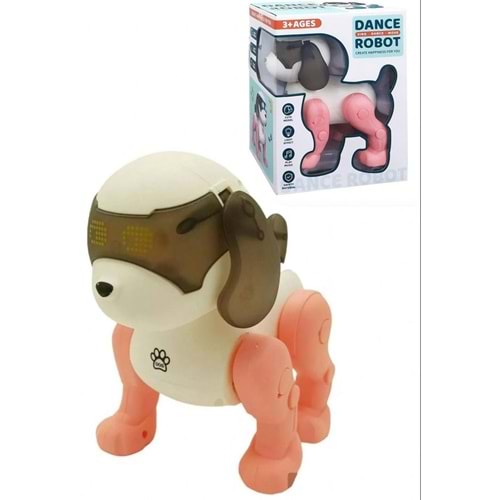 CEREN IŞIKLI SESLİ DANS EDEN KÖPEK