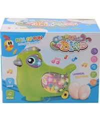 PASİFİK TOYS KUTULU PİLLİ TAVUK