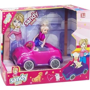 NİZAM TOYS SANDY KUTULU ARABA