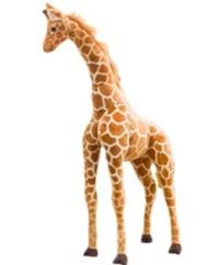 TAHA BÜYÜK BOY ZURAFA 1 METRE