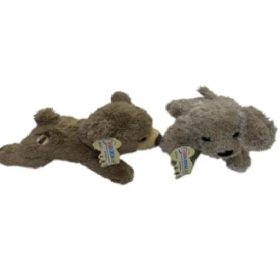 TAHA YATAN KÖPEK AYI