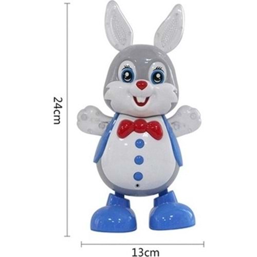 CAN-ALİ TOYS DANS EDEN TAVŞAN